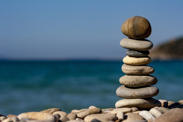 Il Risk Parity nei Portafogli Statici